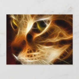 Cartão Postal Gato de Fogo Bonito