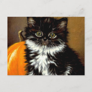 Cartão Postal Gato de Halloween Preto e Branco Vintage