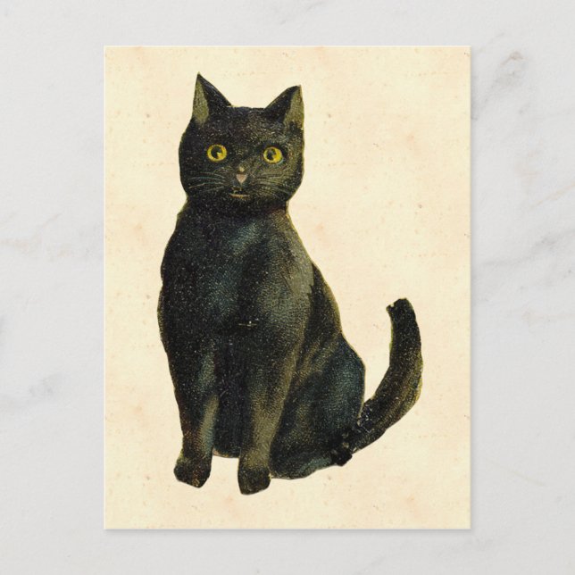 Cartão Postal Gato de Halloween Vintage (Frente)
