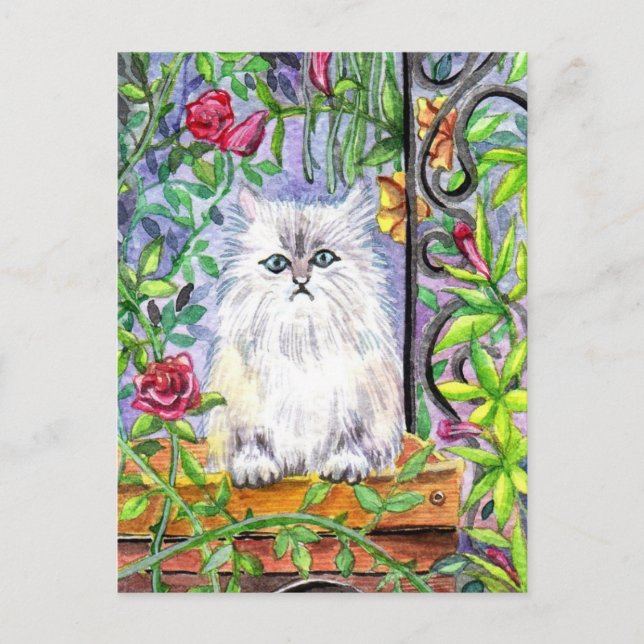 Cartão Postal Gato de Jardim (Frente)