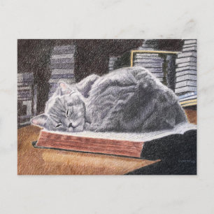 Cartão Postal Gato de Livraria