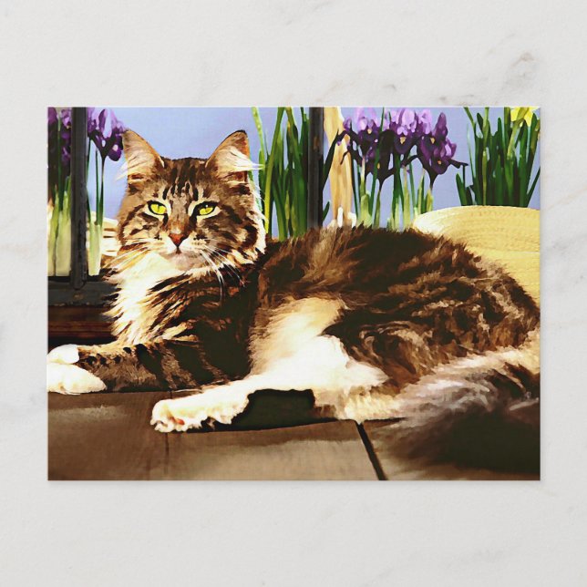 Cartão Postal Gato de Lua Principal (Frente)