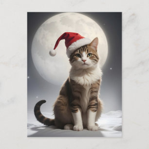 Cartão Postal gato de natal à noite