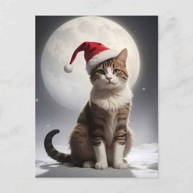 Cartão Postal gato de natal à noite (Frente)