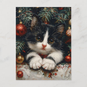 Cartão Postal Gato de Natal bonito de Tuxedo Kitten