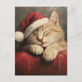 Cartão Postal Gato de Natal bonito e convencido em Santa Chapéu