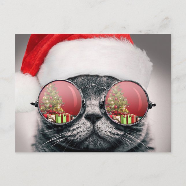 Cartão Postal Gato De Natal Com Óculos De Sol (Frente)