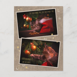 Cartão Postal Gato de Natal Humorístico