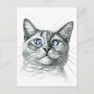 Cartão Postal Gato de olhos cruzados G122