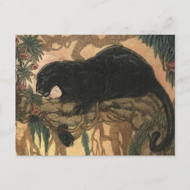 Cartão Postal Gato de Pantera Negra Vintage (Frente)