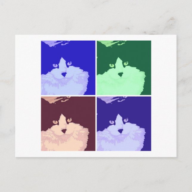 Cartão Postal Gato de pelo comprido preto e branco (Frente)