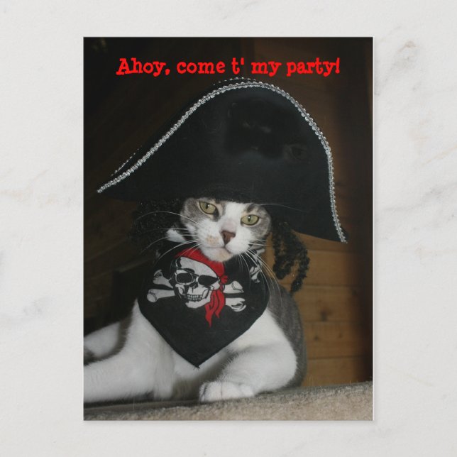 Cartão Postal Gato de Pirata Engraçado Personalizável (Frente)