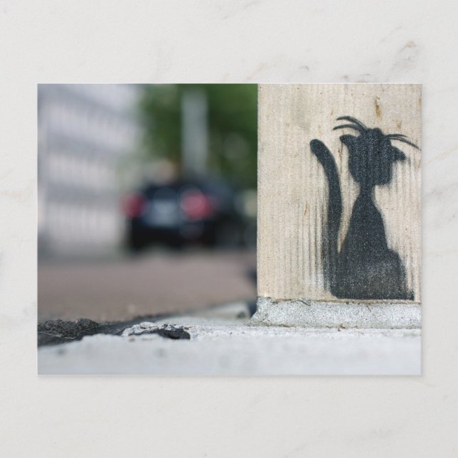 Cartão Postal gato de rua (Frente)