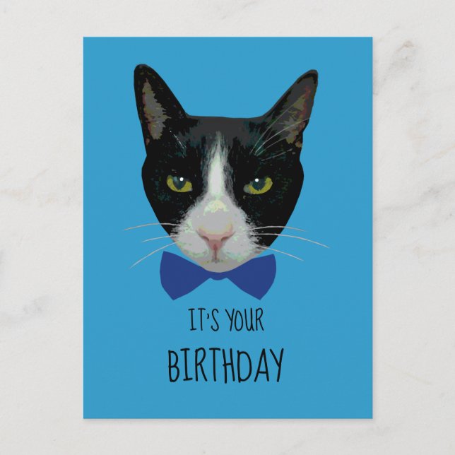 Cartão Postal Gato de Tuxedo Preto e Branco - É o seu aniversári (Frente)
