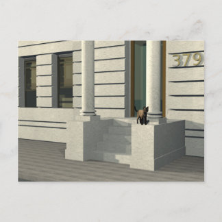 Cartão Postal Gato de verão