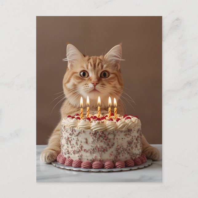 Cartão Postal Gato divertido com bolo de aniversário (Frente)