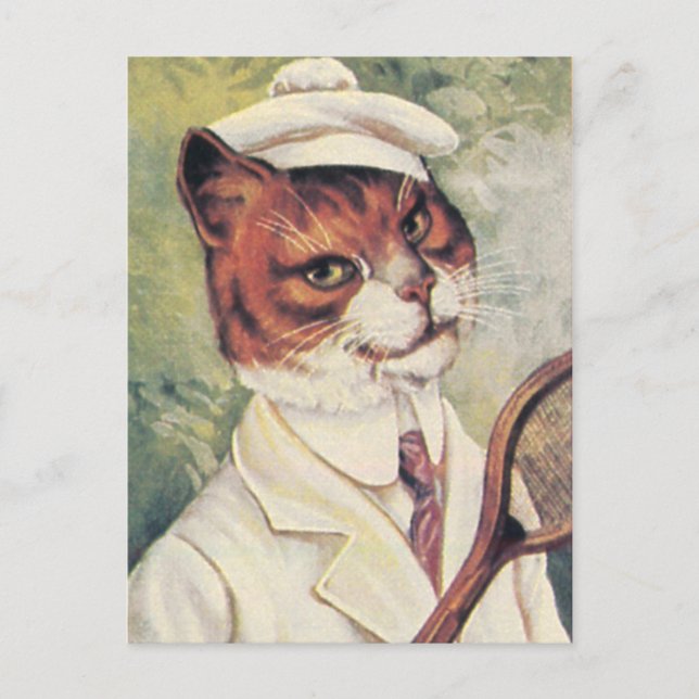 Cartão Postal Gato do tênis (Frente)