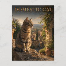 Gato Doméstico Jardim Pátio ANIMAIS