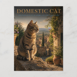 Cartão Postal Gato Doméstico Jardim Pátio ANIMAIS