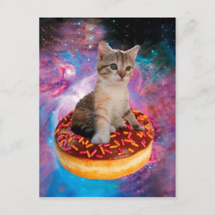Cartão Postal Gato Donut - Amante de Donut