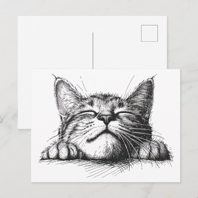 Cartão Postal Gato dormindo (Frente/Verso)