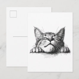 Cartão Postal Gato dormindo
