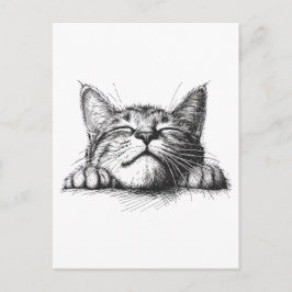 Cartão Postal Gato dormindo