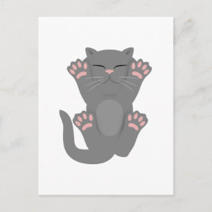 Cartão Postal Gato Dormindo