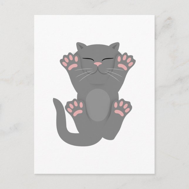 Cartão Postal Gato Dormindo (Frente)