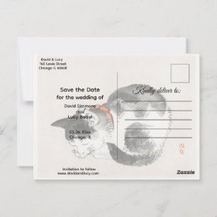Cartão Postal Gato Dormindo