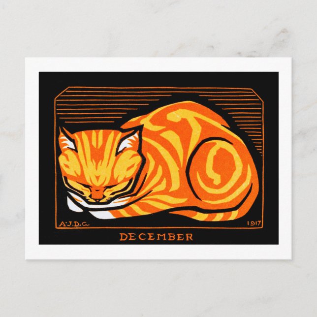 Cartão Postal Gato Dormindo, Julie de Graag (Frente)