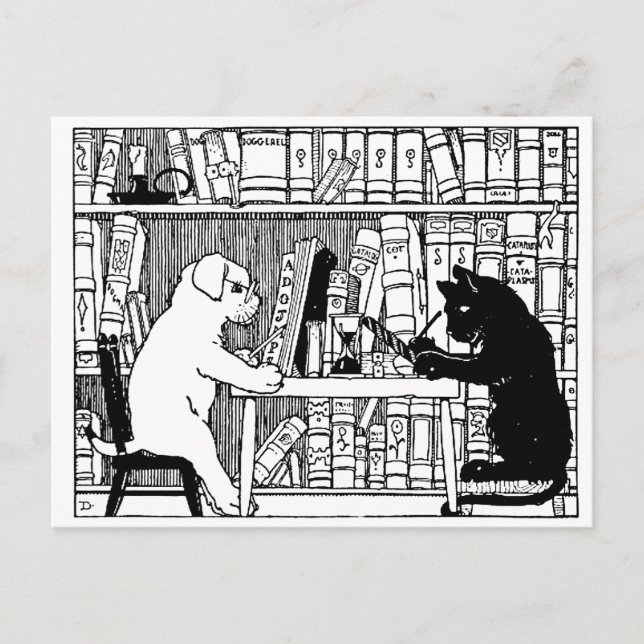 Cartão Postal Gato e Cão na Biblioteca (Frente)