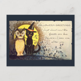 Cartão Postal Gato e Coruja Amigáveis Azul Escuro Halloween Vint