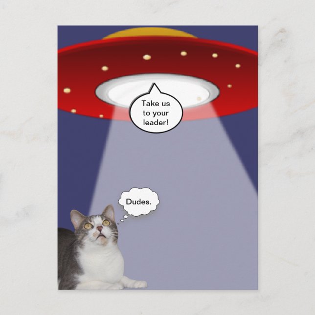 Cartão Postal Gato e espaçonave engraçados (Frente)