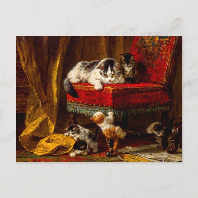 Cartão Postal Gato e Gatinhos Brincando com Cadeira (Frente)