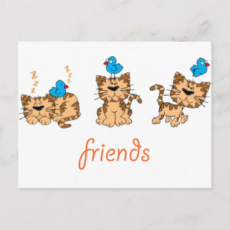 Cartão Postal Gato e Pássaro - amigos