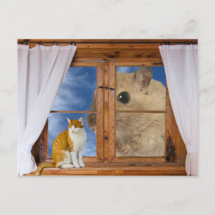 Cartão Postal Gato e Rato Engraçado