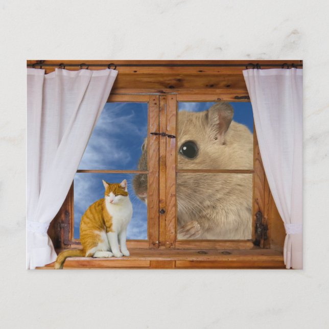 Cartão Postal Gato e Rato Engraçados (Frente)