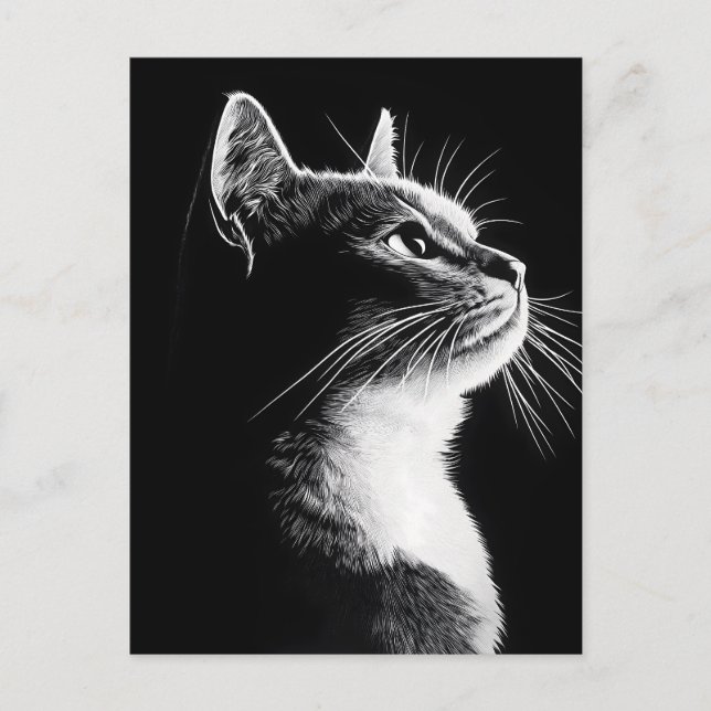 Cartão Postal Gato Elegante (Frente)