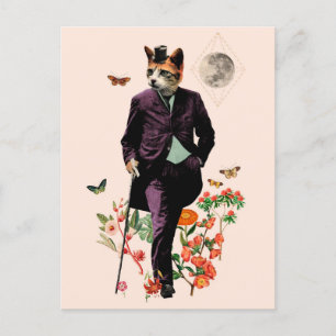 Cartão Postal Gato Elegante Engraçado
