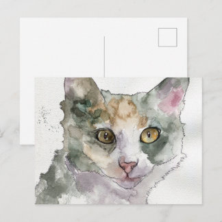 Cartão Postal Gato em Aquarela