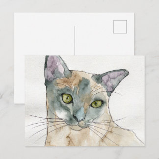 Cartão Postal Gato em Aquarela