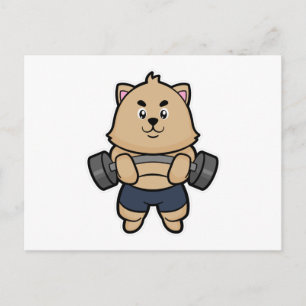 Cartão Postal Gato em Bodybuilding com Barbell