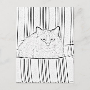 Cartão postal - Gato em Cadeira Listrada para Colo