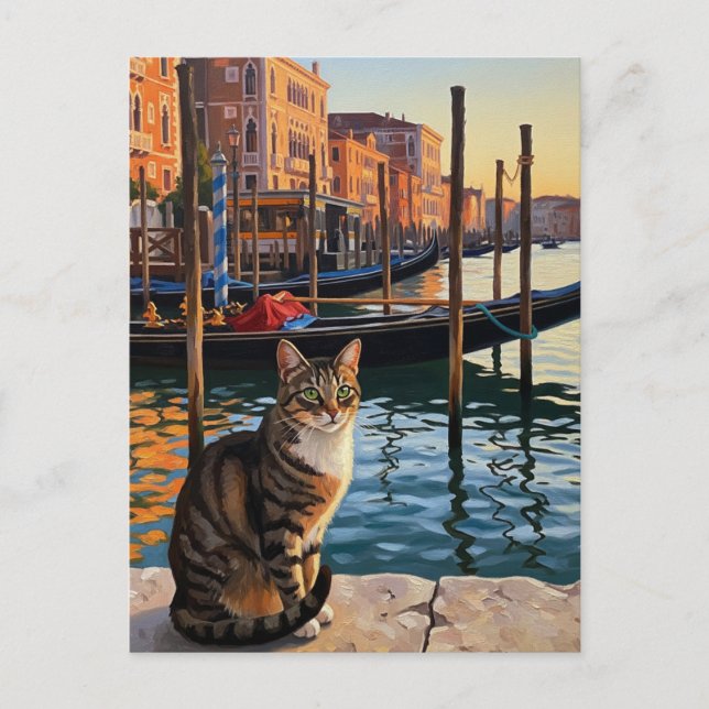 Cartão Postal Gato em Veneza Itália Viagem (Frente)