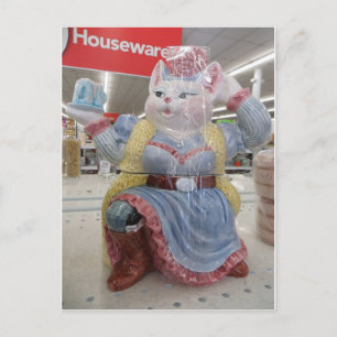 Cartão Postal Gato Em Vestido