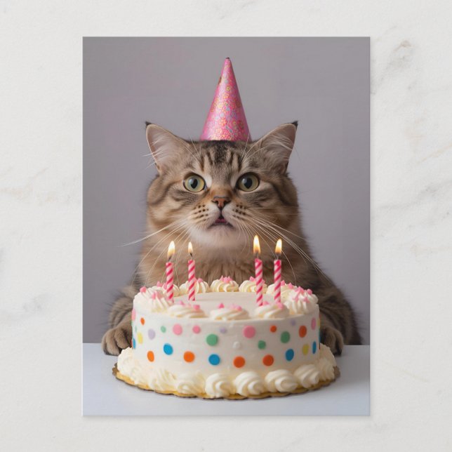 Cartão Postal Gato engraçado com bolo de aniversário (Frente)