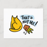 Gato engraçado e pote de flor derrubado