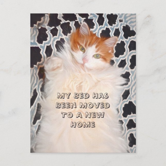 Cartão Postal Gato Engraçado Movendo Novo Endereço (Frente)