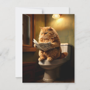 Cartão Postal Gato Engraçado no Banheiro   Quirky Bathroom Humor